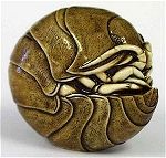 Woodlouse